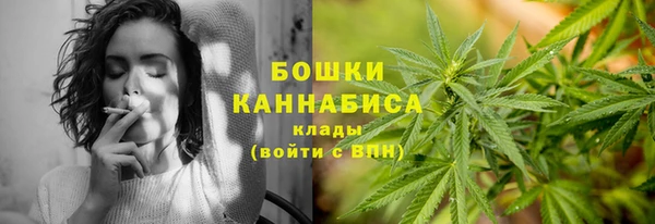 экстази Бородино