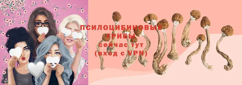 Галлюциногенные грибы MAGIC MUSHROOMS  Билибино 